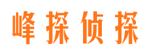 饶平侦探公司